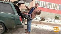 Дмитрий Талабуев мешки ворочает. Доброе утро. Фрагмент выпуска от 25.02.2020