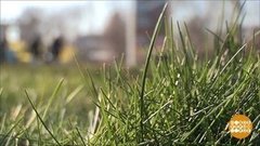 Весне — зеленый свет! Доброе утро. Фрагмент выпуска от 28.02.2020