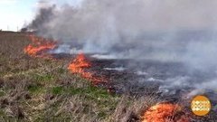 Не надо палить траву! Доброе утро. Фрагмент выпуска от 13.03.2020