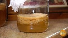 Чья комбуча круче? Доброе утро. Фрагмент выпуска от 16.03.2020