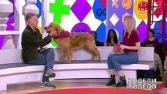 Видели видео? Часть 2. Выпуск от 22.03.2020