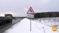 Лоси мигрируют. Доброе утро. Фрагмент выпуска от 24.03.2020