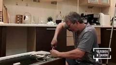 «Домушники» XXI века. Человек и закон. Фрагмент выпуска от 03.04.2020