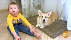 Ася тренирует Плюшу. Доброе утро. Фрагмент выпуска от 06.04.2020