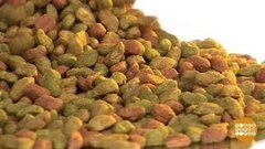 Выбираем корм для собак. Доброе утро. Фрагмент выпуска от 08.04.2020