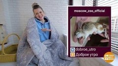 Просыпайтесь, тушканчики! Доброе утро. Суббота. Фрагмент выпуска от 18.04.2020