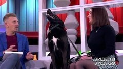 Видели видео? Часть 2. Выпуск от 19.04.2020