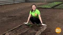 Согреваем землю. Доброе утро. Фрагмент выпуска от 24.04.2020