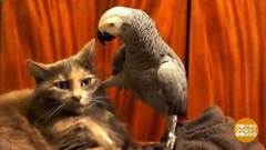 Спокойствие, только спокойствие! Доброе утро. Фрагмент выпуска от 24.04.2020