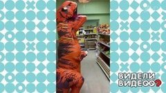 Тираннозавр в магазине. Видели видео? Фрагмент выпуска от 26.04.2020