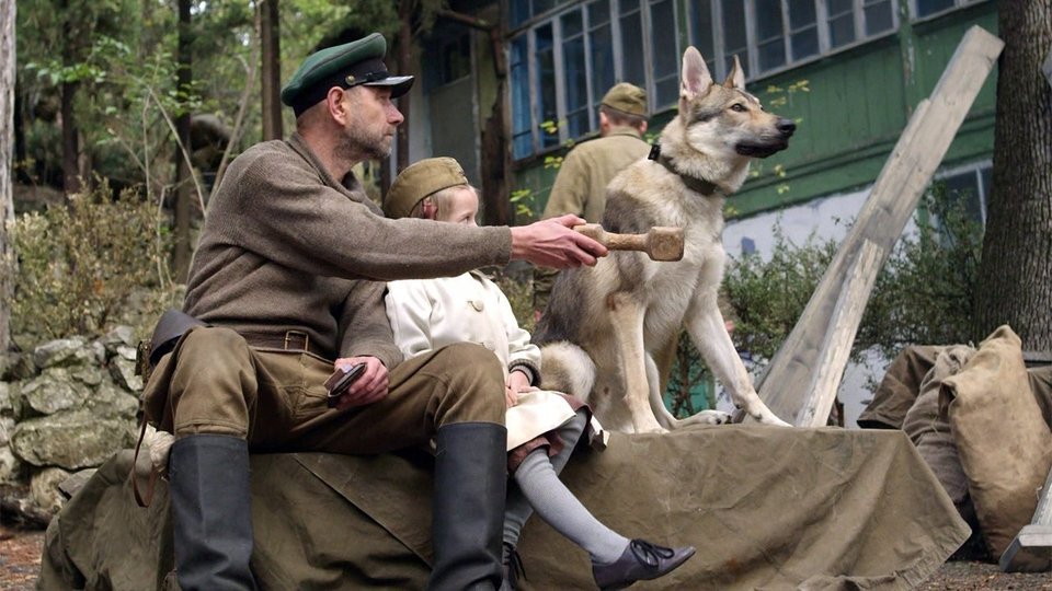 Актеры фильма джульбарс фото и имена