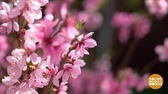 Дачные лайфхаки. Доброе утро. Фрагмент выпуска от 08.05.2020