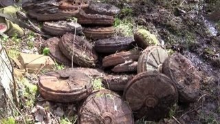 Под Старой Руссой нашли и обезвредили минное поле, установленное гитлеровскими войсками во времена Великой Отечественной войны