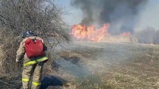В российских регионах спасатели борются с результатами беспечности людей в условиях пожароопасной обстановки