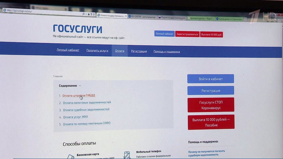 Госуслуги Пособие На Новый Год