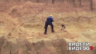 Необыкновенное спасение собаки альпинистами. Видели видео? Фрагмент выпуска от 17.05.2020