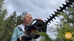 Живая изгородь: стрижем-бреем! Доброе утро. Фрагмент выпуска от 20.05.2020