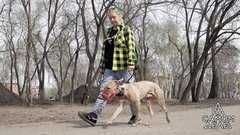 Спустить собак: очная ставка обидчика с мужем жертвы. На самом деле. Выпуск от 20.05.2020