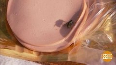 Лаврушка против мух. Доброе утро. Фрагмент выпуска от 22.05.2020