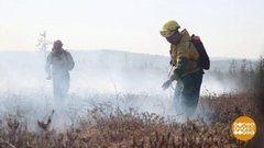 Не надо жечь траву! Доброе утро. Фрагмент выпуска от 22.05.2020