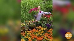 Дешево и красиво. Доброе утро. Суббота. Фрагмент выпуска от 23.05.2020