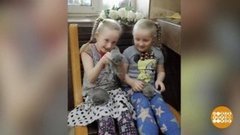 Котенок по имени Карантин. Доброе утро. Фрагмент выпуска от 26.05.2020