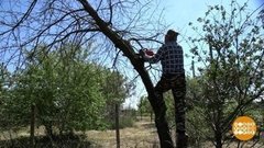 Валежник — убрать, газ — проверить! Доброе утро. Фрагмент выпуска от 27.05.2020