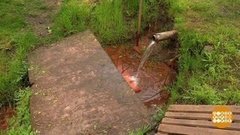 Родники мои — серебряные? Доброе утро. Фрагмент выпуска от 04.06.2020