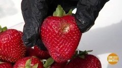 Если ягодка с гнильцой… Доброе утро. Фрагмент выпуска от 10.06.2020