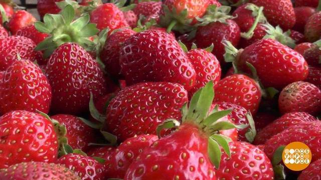 Варись, варись, варенье! Доброе утро. Фрагмент выпуска от 16.06.2020