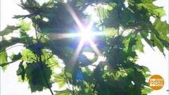 Солнышко, не бей! Доброе утро. Фрагмент выпуска от 17.06.2020