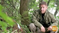 Дмитрий Талабуев комаров не боится. Доброе утро. Фрагмент выпуска от 19.06.2020