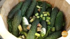 Зеленые, хрустящие и с пупырышками! Доброе утро. Суббота. Фрагмент выпуска от 20.06.2020