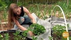 Грядка, укрывайся! Доброе утро. Фрагмент выпуска от 25.06.2020