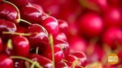 Черешневые деньки. Доброе утро. Суббота. Фрагмент выпуска от 27.06.2020