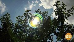 На полюсе холода — жарища! Доброе утро. Фрагмент выпуска от 01.07.2020