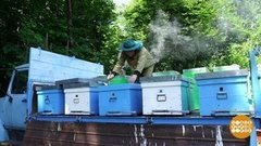 Мед: теперь каштановый! Доброе утро. Фрагмент выпуска от 02.07.2020