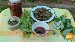 Рагу из лопуха и десерт из лебеды. Доброе утро. Суббота. Фрагмент выпуска от 04.07.2020