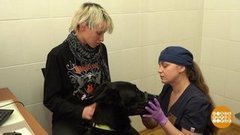 Чипирование? Все не так страшно! Доброе утро. Фрагмент выпуска от 06.07.2020