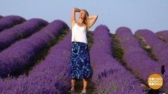 Целое море… лаванды. Доброе утро. Фрагмент выпуска от 09.07.2020