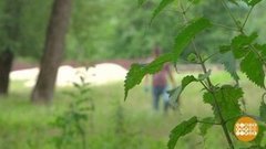 Любишь щи — крапиву ищи! Доброе утро. Суббота. Фрагмент выпуска от 11.07.2020