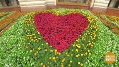 Целое море цветов — в ГУМе. Доброе утро. Фрагмент выпуска от 16.07.2020