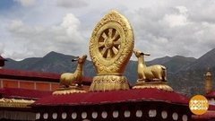 От Тибета и до Арктики. Доброе утро. Фрагмент выпуска от 21.07.2020