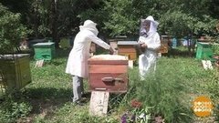 Работа с видом на лето. Доброе утро. Фрагмент выпуска от 21.07.2020