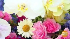 Флорист — профессия творческая. Доброе утро. Фрагмент выпуска от 24.07.2020