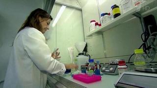 Российской федерации легкой атлетики добавили времени на выплату штрафа в пять миллионов долларов