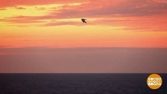 В путешествие — вместе с РГО. Доброе утро. Фрагмент выпуска от 03.08.2020