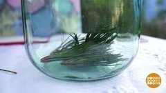 Елочка освежает! Доброе утро. Фрагмент выпуска от 06.08.2020