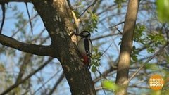 Айда в лес! Слушать тишину. Доброе утро. Фрагмент выпуска от 14.08.2020