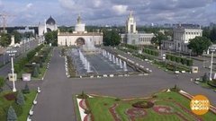 «Сады и люди». Доброе утро. Фрагмент выпуска от 14.08.2020